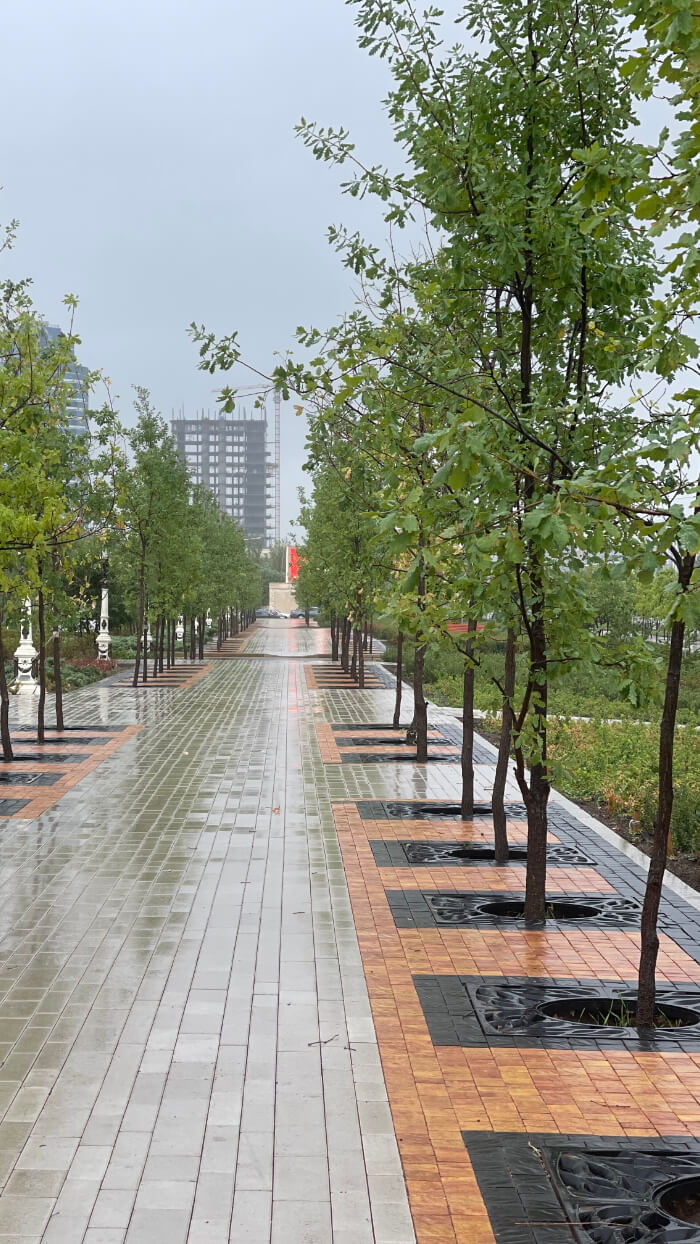 Приствольная решетка для дерева ZKING CRUST 1.2х1.2м Черная в Ереване фото