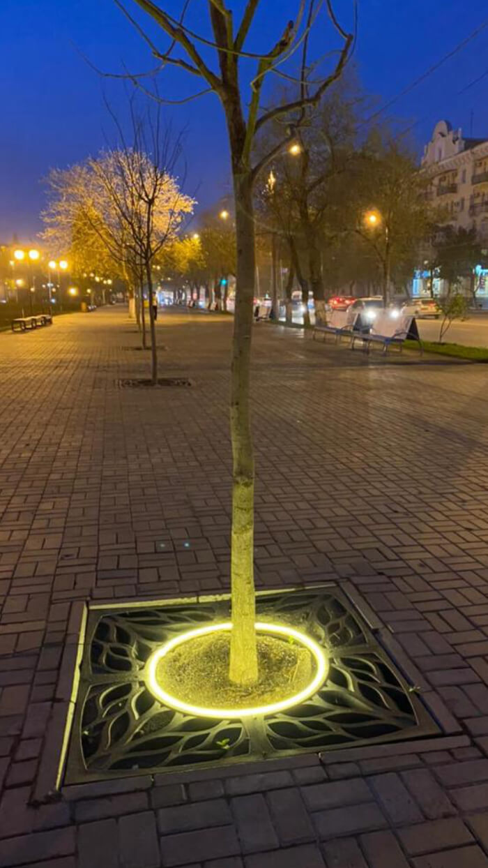 Приствольная решетка для дерева ZKING CRUST 1.2х1.2м Черная в Ереване фото